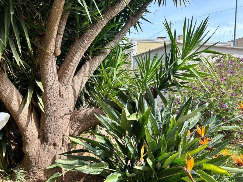 Giardino A Mare Apartamento